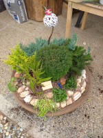 /album/fotogaleria-uvodna-stranka/img-20200609-110416-1-jpg/