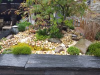 /album/fotogaleria-uvodna-stranka/img-20201001-092542-1-jpg/