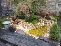 /album/fotogaleria-uvodna-stranka/img-20201001-092535-1-jpg/